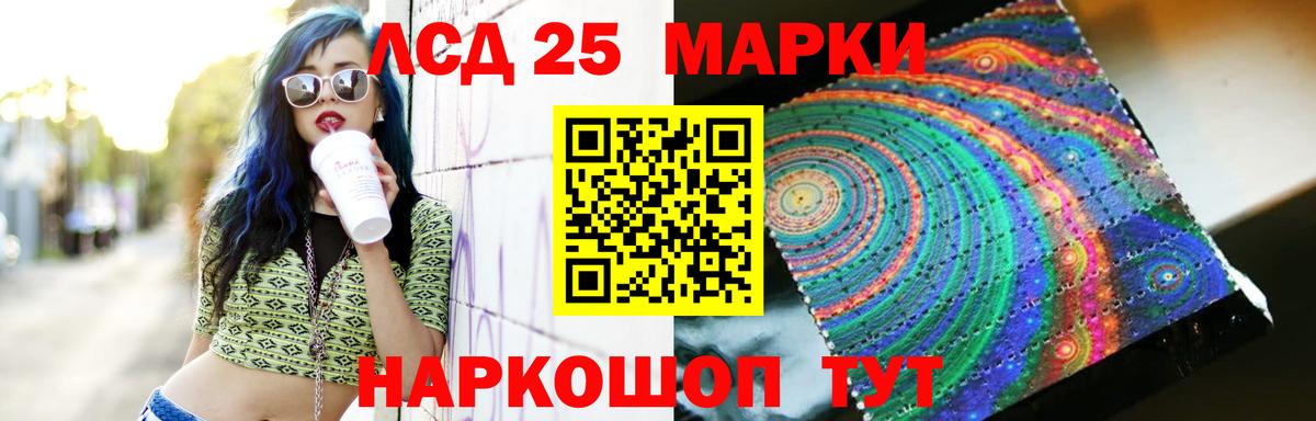 ГАШ Курск