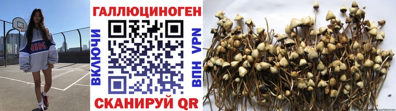 Псилоцибиновые грибы мухоморы  кракен зеркало  Курск 