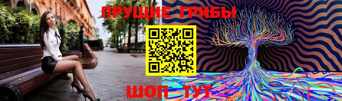 Курск  Галлюциногенные грибы GOLDEN TEACHER  Псилоцибиновые грибы ЛСД  Вход с VPN 