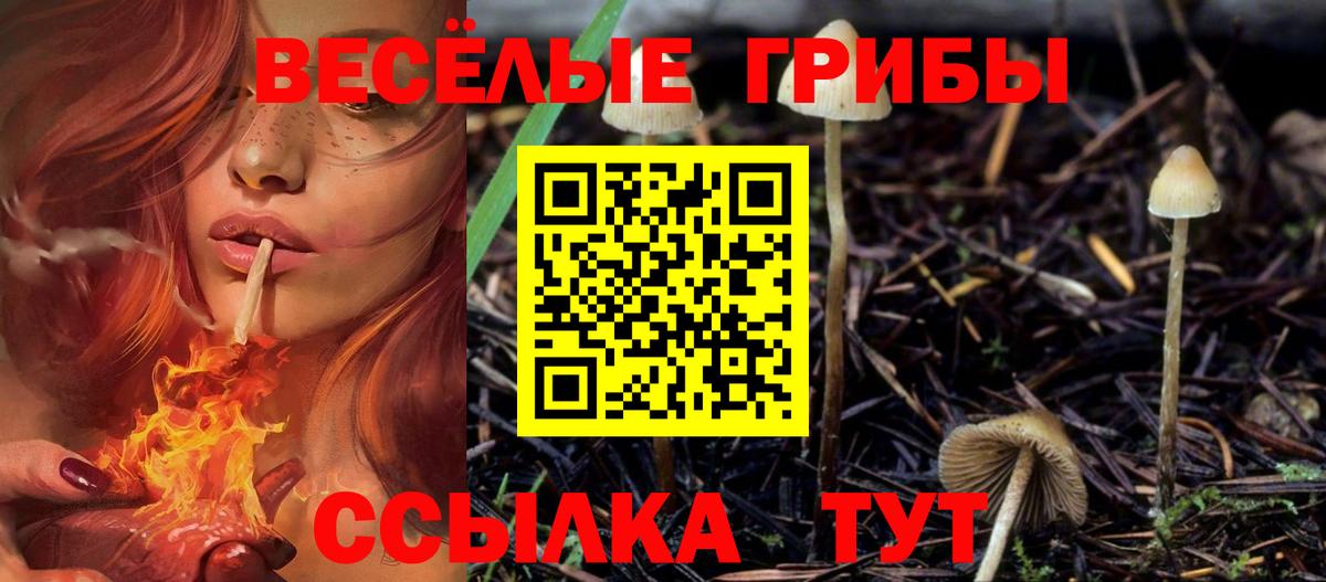 Галлюциногенные грибы GOLDEN TEACHER  сколько стоит  Курск 