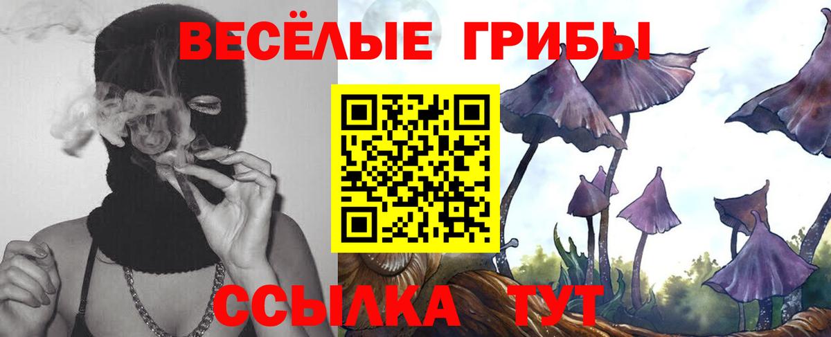Галлюциногенные грибы GOLDEN TEACHER Курск
