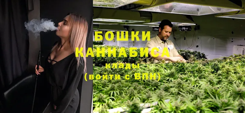 Шишки марихуана White Widow  hydra как зайти  Курск 