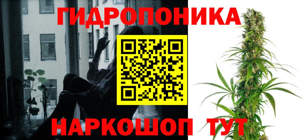 Каннабис конопля Курск